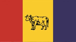 सरकारसँग वार्ता गर्न राप्रपाद्वारा तीन सदस्यीय टोली गठन