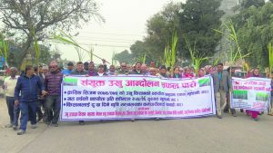चिनी उद्योगीविरुद्ध कृषकहरु