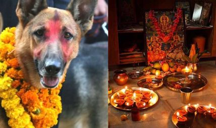 तिहारको तेसो दिन : आज बिहान कुकुर तिहार बेलुका लक्ष्मीपुजा