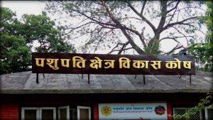 पशुपति क्षेत्र विकास कोषको नयाँ नियमावली जारी, कार्यकारी निर्देशकको पद नै खारेज