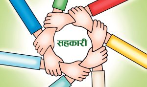 सहकारी संस्थाले ऋणी सदस्यलाई हर्जाना लगाउँदा असुल हुन बाँकी ब्याजको ५ प्रतिशतसम्म मात्र लिन पाउने