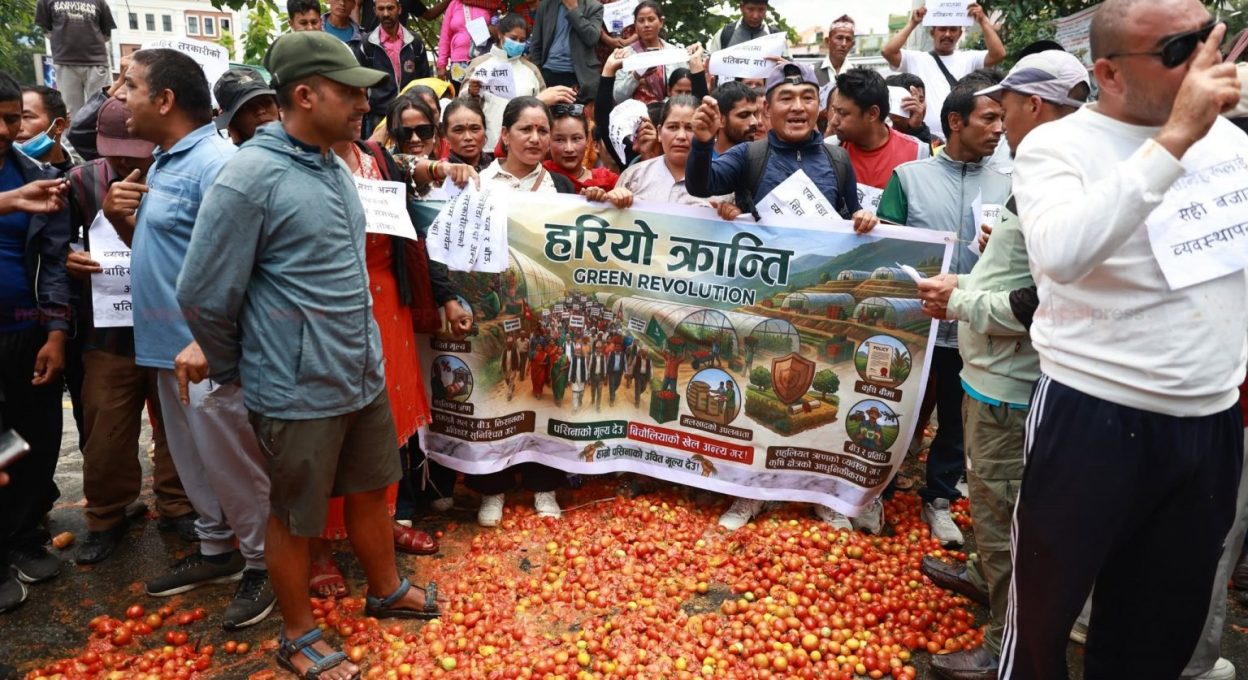 माइतीघरमा गोलभेडा सडकमा फालेर किसानले गरे विरोध प्रदर्शन