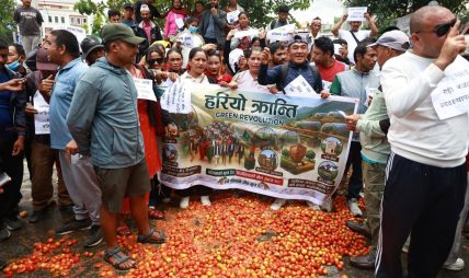 माइतीघरमा गोलभेडा सडकमा फालेर किसानले गरे विरोध प्रदर्शन