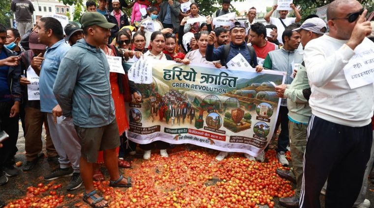 माइतीघरमा गोलभेडा सडकमा फालेर किसानले गरे विरोध प्रदर्शन