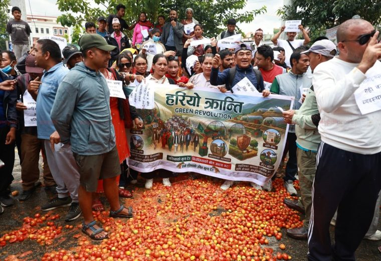 माइतीघरमा गोलभेडा सडकमा फालेर किसानले गरे विरोध प्रदर्शन