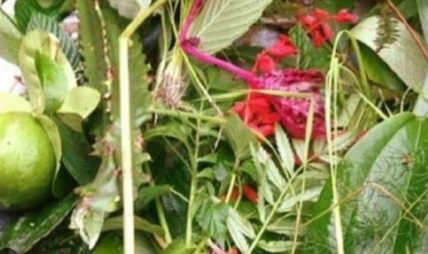 आज साउने सङ्क्रान्ति मनाइँदै